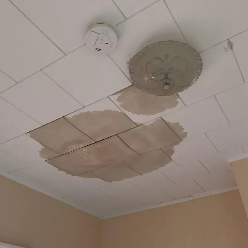 Ceiling Water Damage Repair in Barneveld, WI