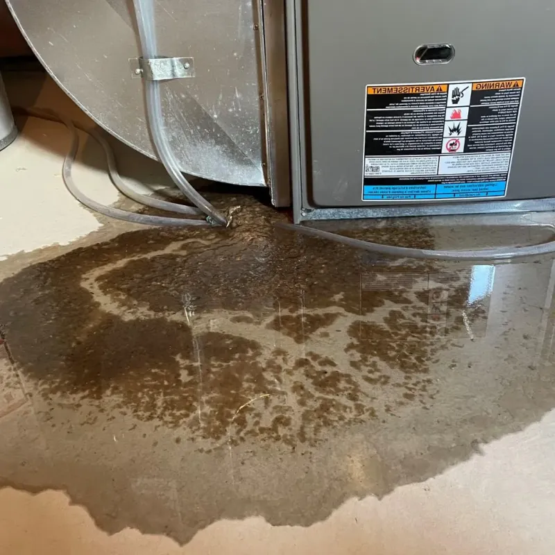 Pipe Burst and Leak Restoration in Barneveld, WI